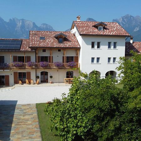 Corte Varola B&B Zia Marisa Belluno Exteriör bild